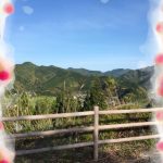 転勤か、夫の不在・・・どっちをとるか？