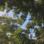 明日からついに新学期(^O^)／無事宿題終わりましたか？