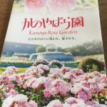 かのやばら園で切り花体験、料金は一本150円