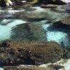 「西郷どん」オープニングの滝、雄川の滝へ行ってきた！